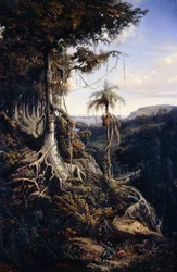 Jala-Jala Forest