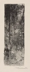 Pine Felling