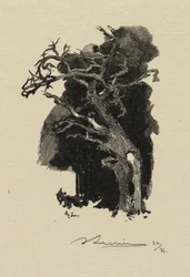 Fontainebleau Forest: The Raging One