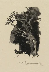 Fontainebleau Forest: The Raging One
