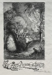 The Ravine in June