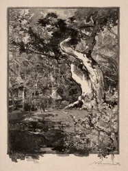 The Clovis, Bellecroix Plateau