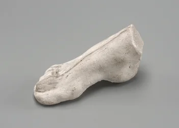 Right Foot