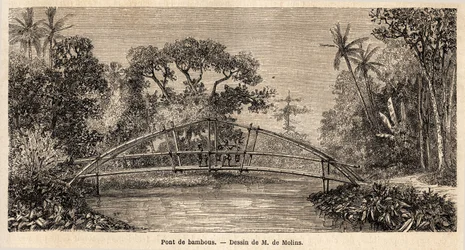 A bamboo bridge, in the jungle, near Salak Mountain
