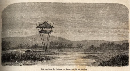 A rice guard, near Batavia (present-day Jakarta). Drawing by M. de Molins, to illustrate his journey to Java