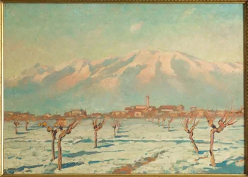Landscape Covered with Snow