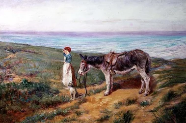 Faraway Sights