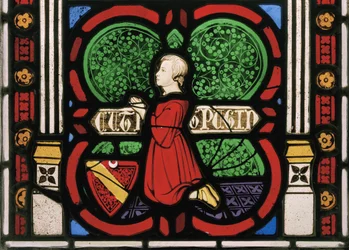 Pugin