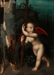 Cupid with a Myrtle