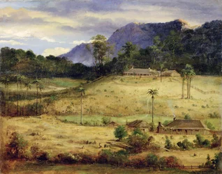 Homesteads
