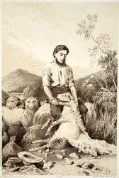 Sheep shearing, from The History of Australasia by David Blair, 1879