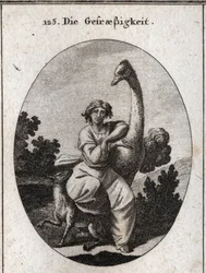 Allegory of Voracity. The Ostrich is the Attribute of Greed; We Add a Lean and Hungry Wolf for Greater Voracity. Engraving in 