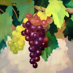 Colorful Grape Still Life
