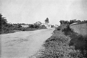 Colony of Sao Bernardo do Campo, 1895