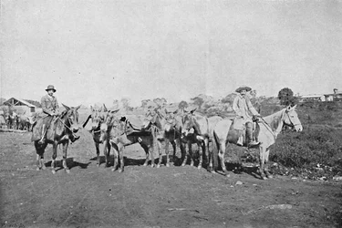 Traders of the Interior