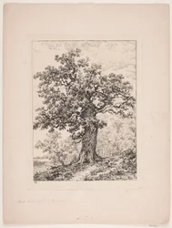 Niels Ebbesen