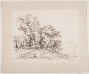 The Path by Trees and Meadows