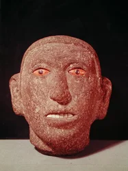 Head of a Man