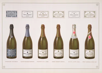 Types of Champagne and Sparkling Wine