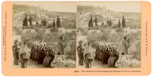 The garden of Gethsemane and the Mount of Olives, Palestine, 1898