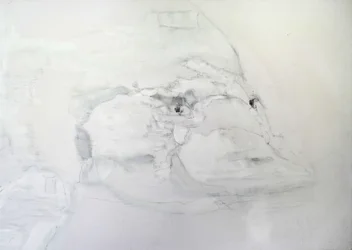 Platypus