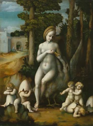 Leda and the Swan