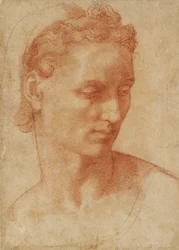 Head of a Woman, early 16th century