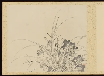 Refined Elegance in the Four Seasons, Album of Flower Paintings