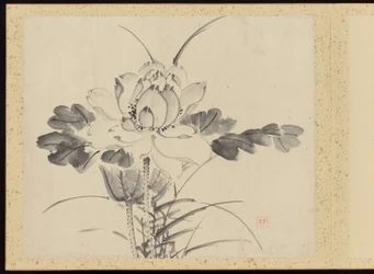 Refined Elegance in the Four Seasons, Album of Flower Paintings