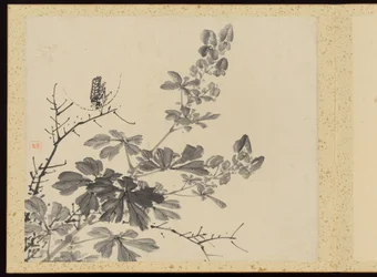 Refined Elegance in the Four Seasons, Album of Flower Paintings