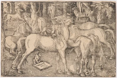 Group of Seven Horses, 1534