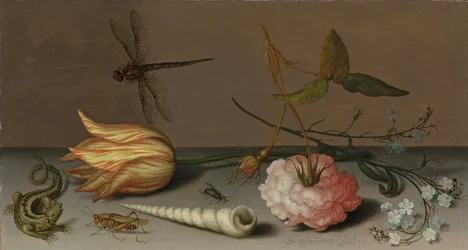 A tulip, a carnation, spray of forget-me-nots, with a shell, a lizard and a grasshopper, on a ledge, a dragonfly in flight