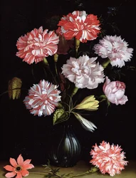 Floral Study: Carnations in a Vase