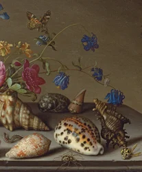 Flowers, Shells and Insects on a Stone Ledge