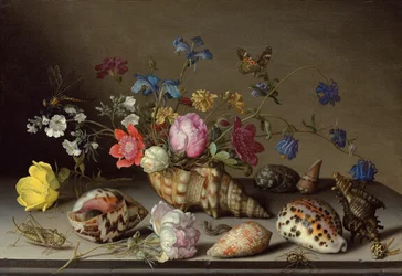 Flowers, Shells and Insects on a Stone Ledge