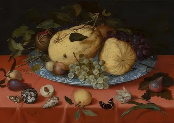 Fruit Still Life with Shells and Tulip. 1620