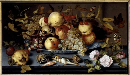 Still Life of Fruits, Flowers, Shells and Insects