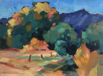 New Mexico Meadow