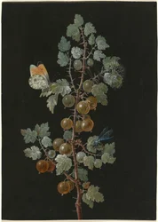 A Branch of Gooseberries with a Dragonfly, an Orange-Tip Butterfly, and a Caterpillar