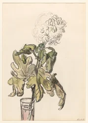 Blooming Chrysanthemum in a Vase