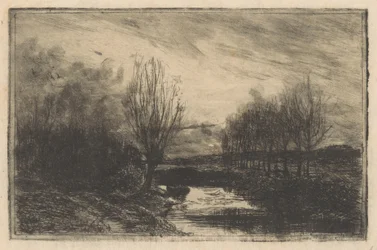Ditch with Pollard Willows