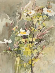 Wildflowers