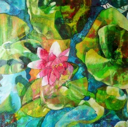 Pink Water Lily Pond