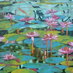 Vibrant Water Lilies