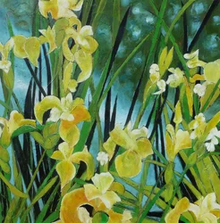 Vibrant Yellow Irises