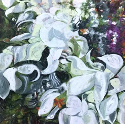 White Floral Butterfly