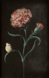 Set of Four Still Lifes with Butterflies