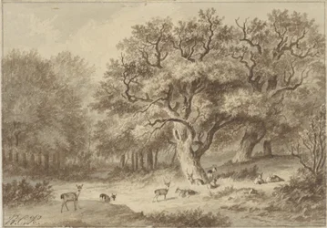 Forest Landscape with Deer