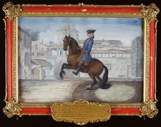 A Barbary bay horse of the Spanish Riding School performing a dressage movement in St. Marks Square, Florence