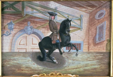 A brown bay horse of the Spanish Riding School performing a pirouette near the ground
